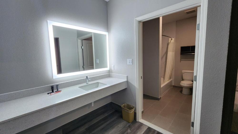 Deluxe One-Bedroom Apartment interior